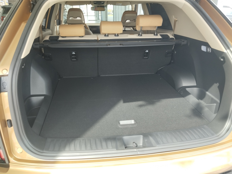 Actyon premium  OBE, AWD,E75 WEA, camel koža