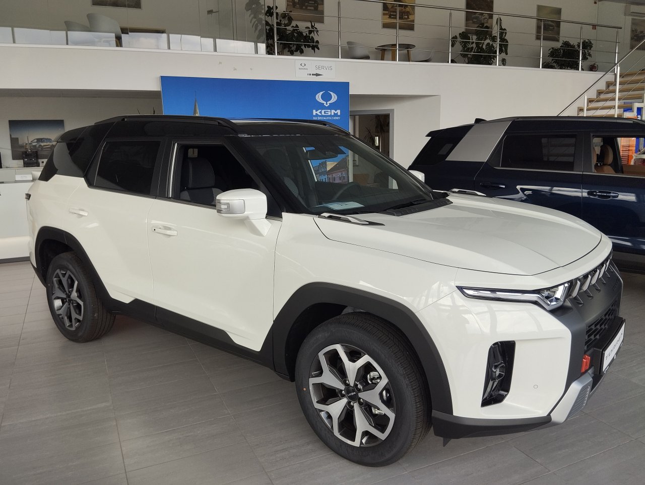 Torres STYLE WAA at fwd, bi tone